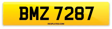 BMZ 7287