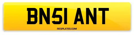 BN51 ANT