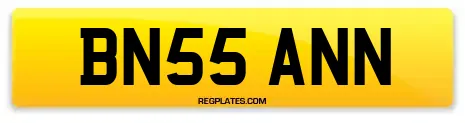 BN55 ANN