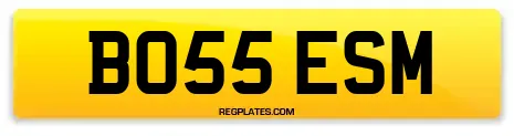 BO55 ESM