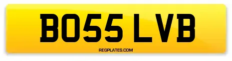 BO55 LVB