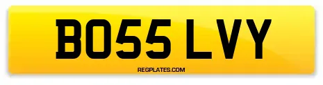 BO55 LVY