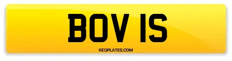 BOV 1S