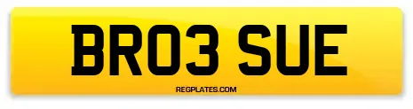 BR03 SUE