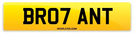 BR07 ANT