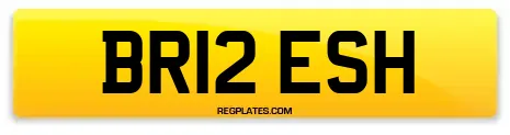 BR12 ESH