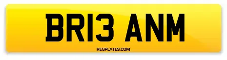BR13 ANM