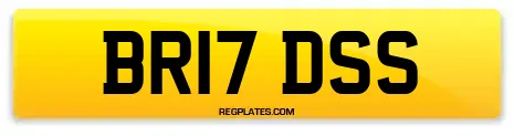 BR17 DSS