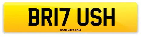 BR17 USH