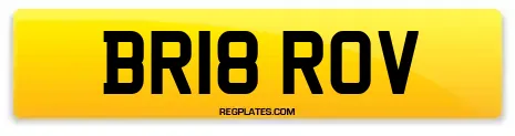 BR18 ROV