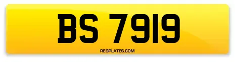 BS 7919