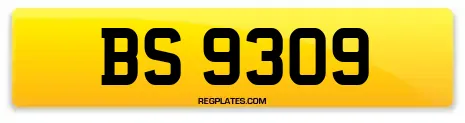 BS 9309