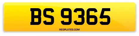 BS 9365