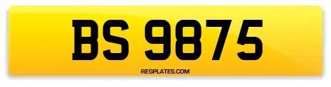BS 9875