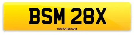 BSM 28X