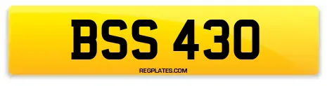 BSS 430