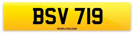 BSV 719