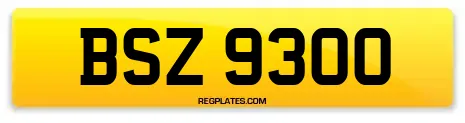 BSZ 9300