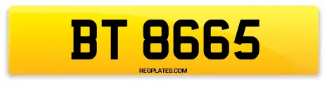 BT 8665