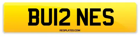 BU12 NES