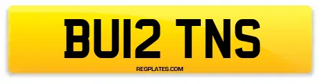 BU12 TNS