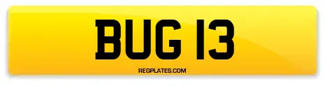 BUG 13