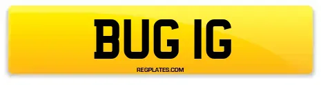 BUG 1G