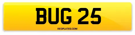 BUG 25