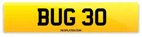 BUG 30