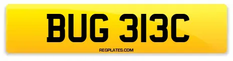 BUG 313C