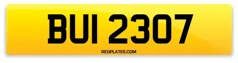 BUI 2307