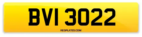 BVI 3022