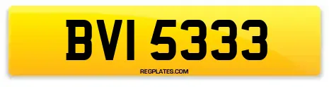 BVI 5333