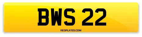 BWS 22