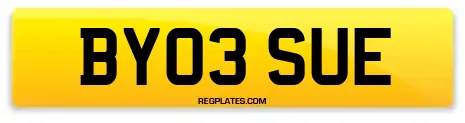 BY03 SUE