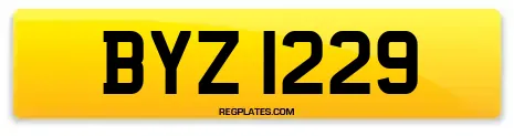 BYZ 1229