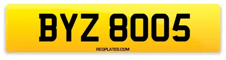 BYZ 8005