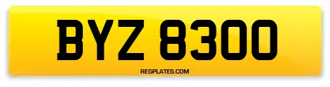 BYZ 8300