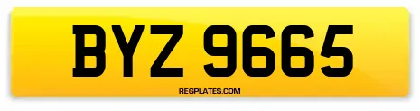 BYZ 9665