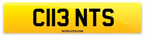 C113 NTS