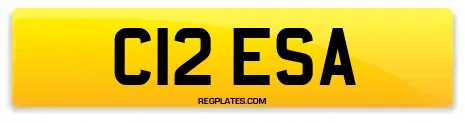C12 ESA