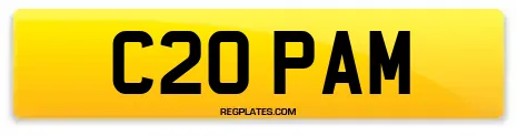 C20 PAM