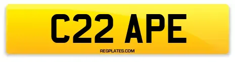 C22 APE