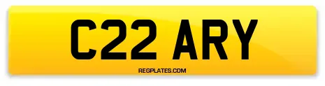 C22 ARY
