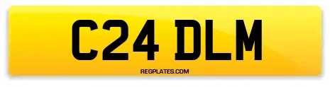 C24 DLM