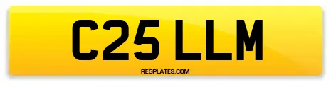 C25 LLM