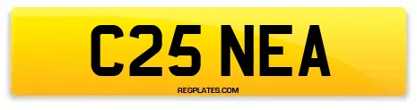 C25 NEA