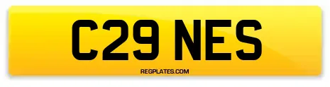 C29 NES