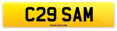C29 SAM