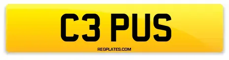 C3 PUS
